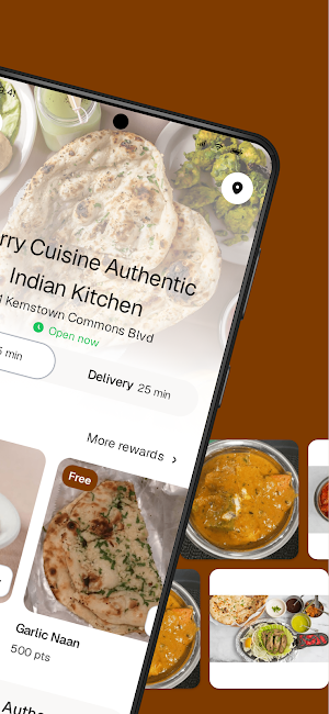 Curry Cuisine Screenshot 1