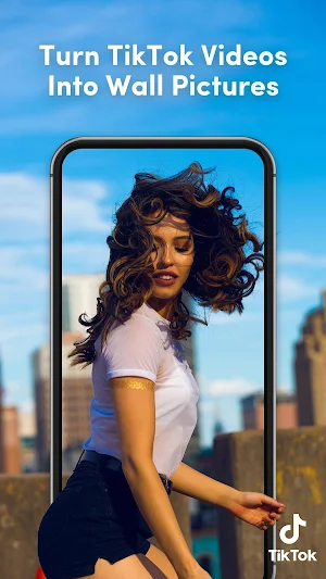 TikTok Wall Picture Screenshot 0