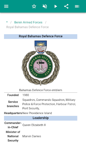 Armed forces Screenshot 2