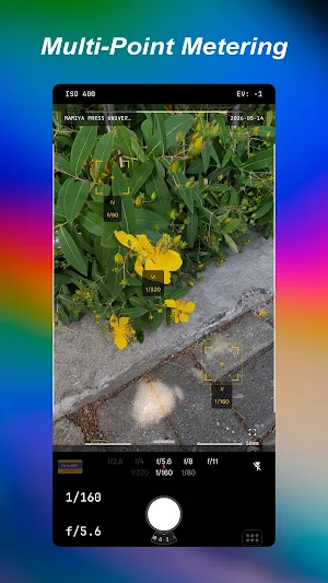 FilmMeter Screenshot 0