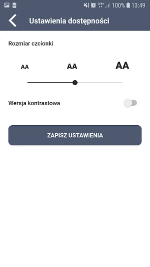 Strzelce Krajeńskie Screenshot 2