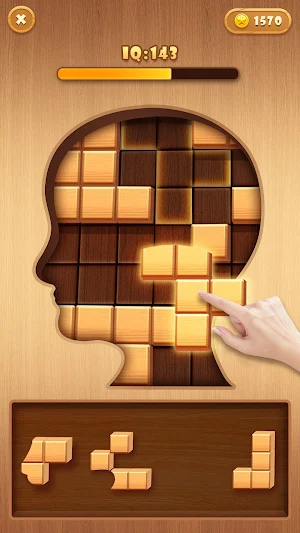 Wooden Block Puzzle Quest Screenshot 1