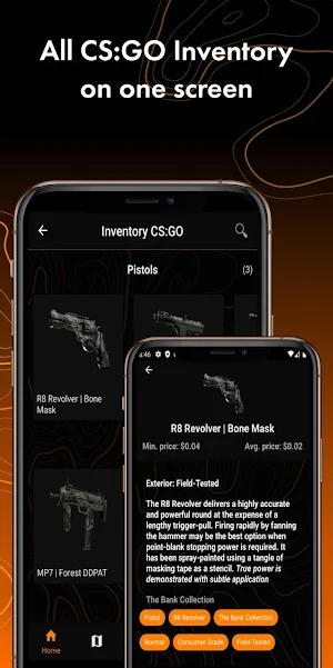 CS:GO Assistant Screenshot 3
