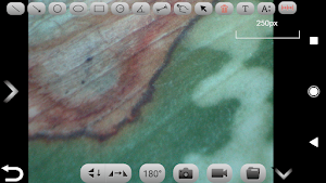 AnytyWiFiAdapter Plus Screenshot 2