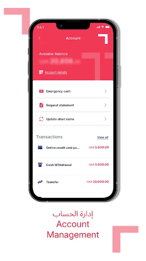 TeleMoney Screenshot 3