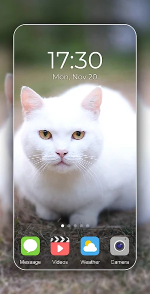 Cat Wallpaper 2024 Screenshot 2