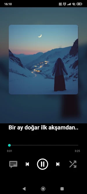 Müzik Dinle & İndir Screenshot 2