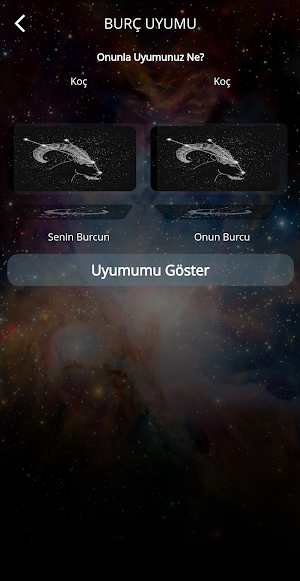 Astro-Ask Screenshot 2