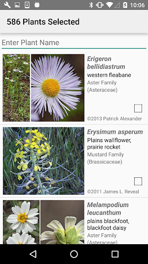 Oklahoma Wildflowers Screenshot 2