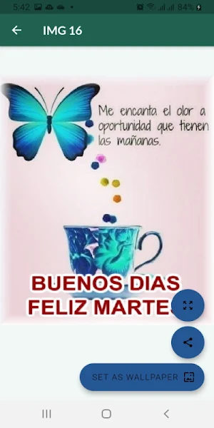 Saludos diarios hermosos Screenshot 1