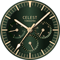 CELEST5552 Analog Watch
