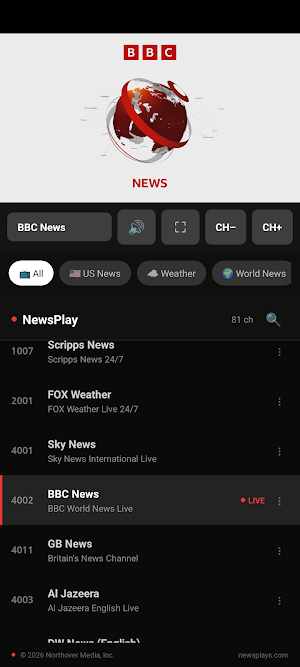 NewsPlay: Live News TV Streams Screenshot 1