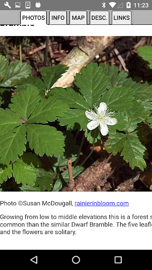 Washington Wildflower Search Screenshot 3