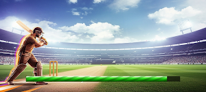 Cricket League Rush Screenshot 0