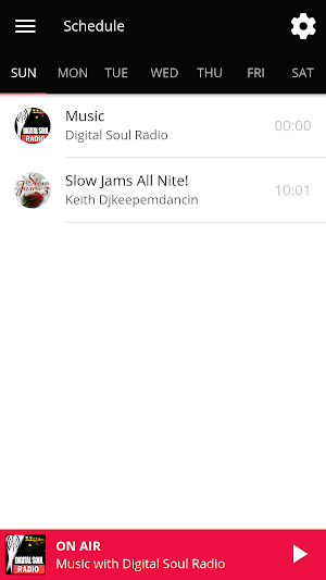 Digital Soul Radio Screenshot 1