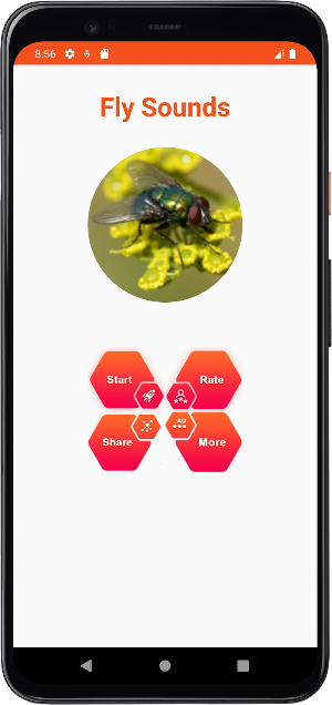 Fly sounds Screenshot 1