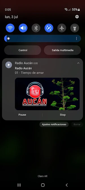 Radio Aucán Screenshot 1