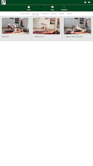 ELAN VITAL Screenshot 1