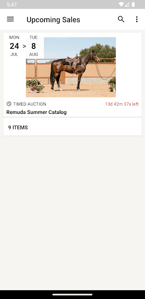 Remuda Auctions Screenshot 0