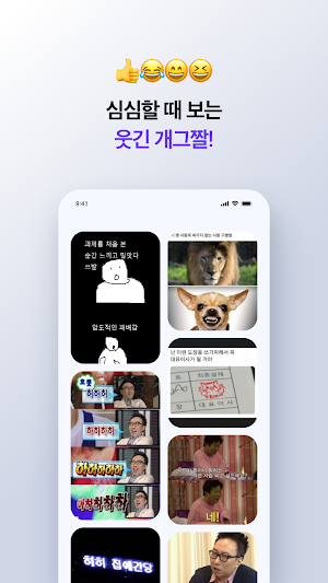 동물힐링짤, 인생명언짤, MBTI 등 즐거운 짤방앱 Screenshot 2