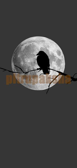 PitruPaksha, Pitrudosh, Tarpan Screenshot 0