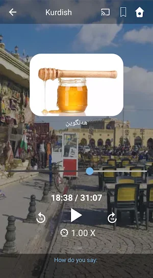 Learn Kurdish. Speak Kurdish. Study Kurdish. Screenshot 2
