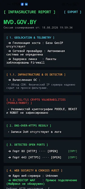 NetProbe: Net Recon & OSINT Screenshot 2