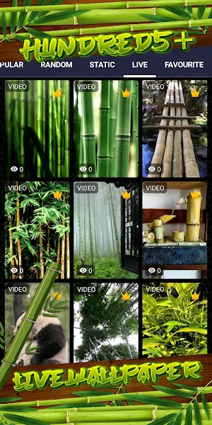 bamboo wallpaper Screenshot 2