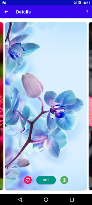 Flower Wallpaper 4K Screenshot 2