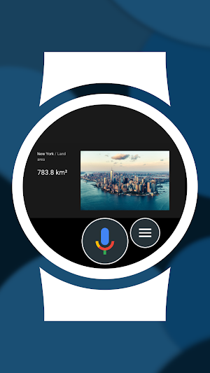 Mini Voice Assistant (Wear OS) Screenshot 3
