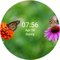 Butterflies On Flowers