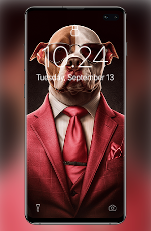 Pitbull wallpapers Screenshot 0