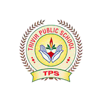 Trivir Public School