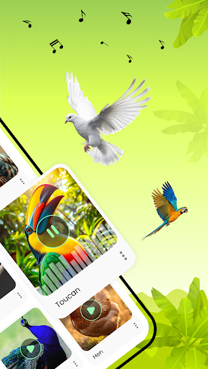 Birds Sounds Screenshot 1