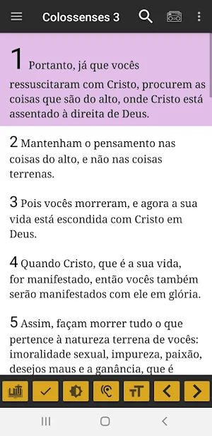Bíblia Sagrada com Devocional Diário Screenshot 3