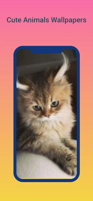 Cute Animals wallpapers Screenshot 0