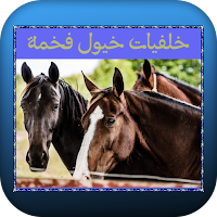 خلفيات خيول فخمة