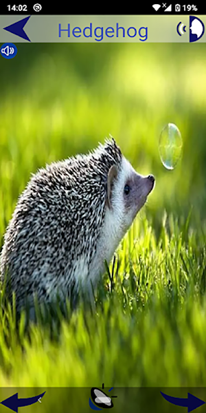 Animal Sounds For Kids Screenshot 1