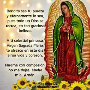 Virgen de Guadalupe Oraciones Screenshot 3