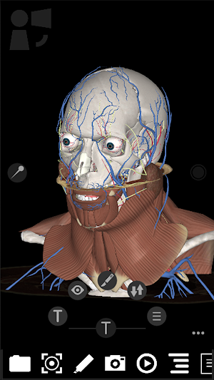 3Dissect Head & Neck Screenshot 1