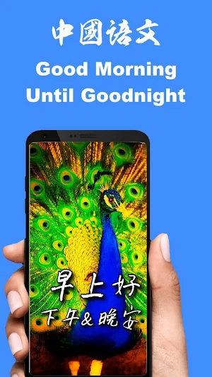 Chinese Good Morning Afternoon & Good Night Wishes Screenshot 0