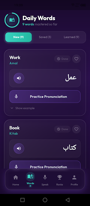Arabic Mastery Plus Screenshot 3