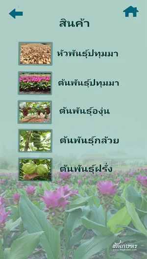 สวนฮักเกษตร Screenshot 3