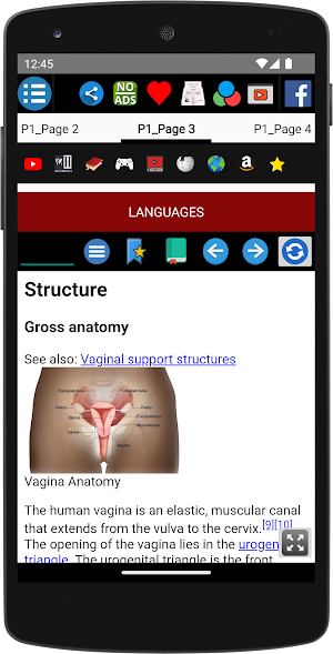 Vagina Anatomy Screenshot 3