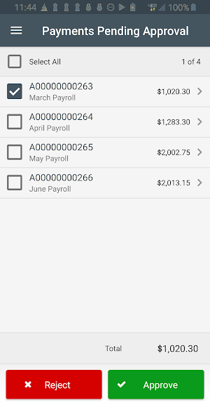 Tandem Treasury Management Screenshot 3