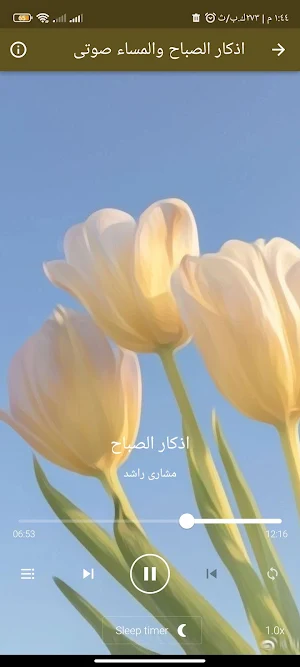 القران محمد عثمان حاج بدون نت Screenshot 3
