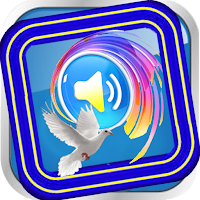 Garifuna  English Spanish