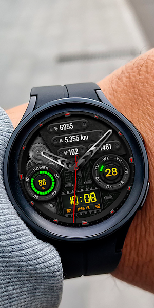 PUNAROTA WS112 Watch face Screenshot 3
