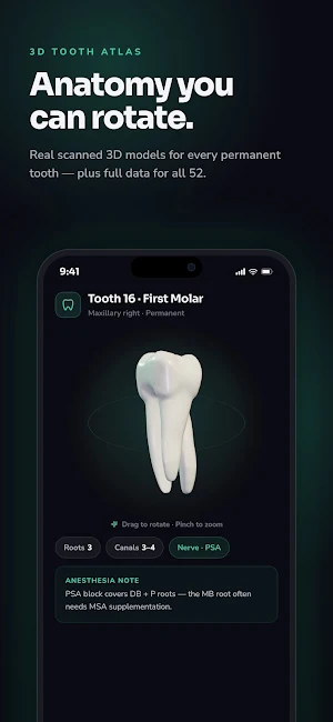 Dentalverse Dental Knowledge Screenshot 2