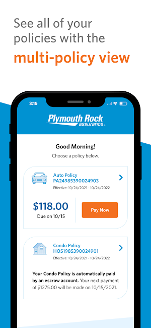Plymouth Rock Screenshot 1